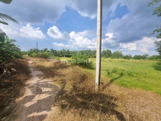 Ngang 65m dài 107m. Có thổ. Đường thông. 4,55 tỷ 