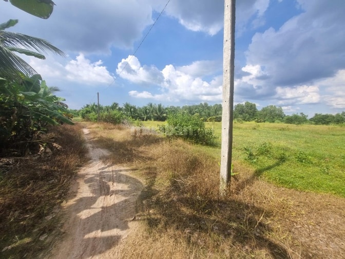 Ngang 65m dài 107m. Có thổ. Đường thông. 4,55 tỷ 