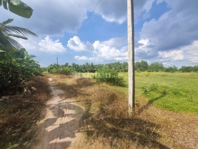 Ngang 65m dài 107m. Có thổ. Đường thông. 4,55 tỷ 