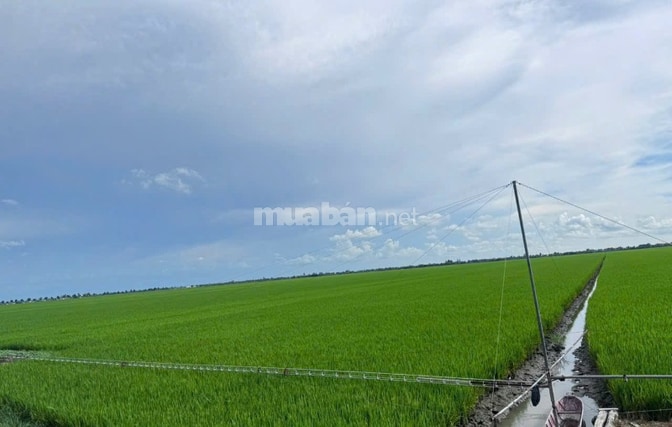 CÔNG TY ĐẤU GIÁ HỢP DANH MINH PHÁP THÔNG BÁO ĐẤU GIÁ TÀI SẢN