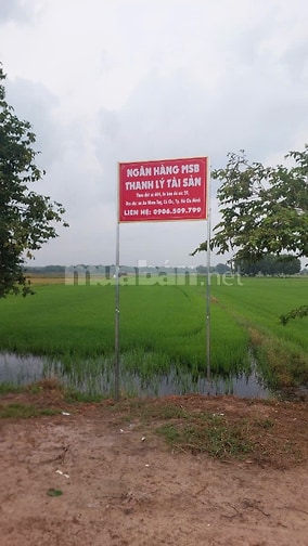 CÔNG TY ĐẤU GIÁ HỢP DANH MINH PHÁP THÔNG BÁO ĐẤU GIÁ TÀI SẢN