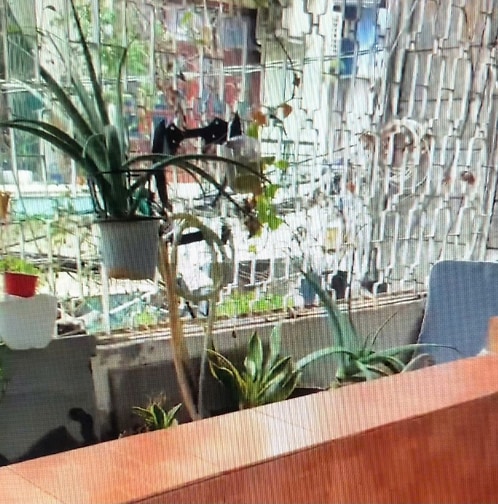 Cho thuê căn hộ 57 Trần Nhân Tôn, P.An Đông, Quận 5, DT 60m2, full NT