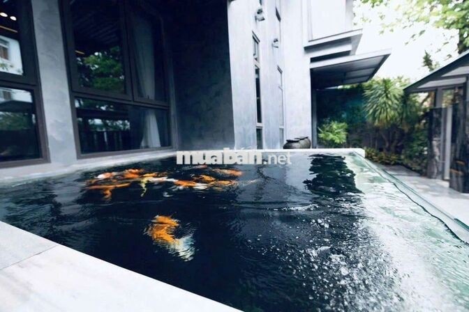 CHO THUÊ BIỆT THỰ HƯNG THÁI 2 NGUYỄN ĐỔNG CHI PHÚ MỸ HƯNG