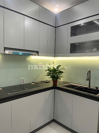 30m2 giá hơn 6 tỷ nhà 12a ngõ 213 Tân Mai vài bước chân ra mặt phố 