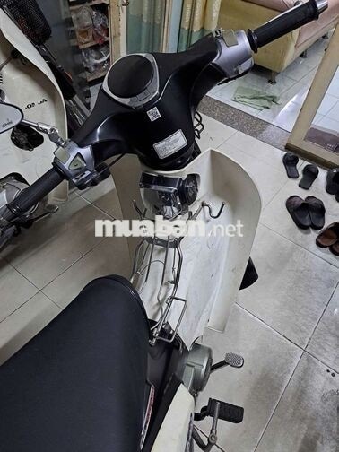Espero Cub Classic VVIP1 50cc Đen, Trắng