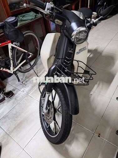 Espero Cub Classic VVIP1 50cc Đen, Trắng
