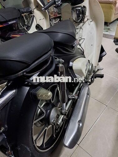 Espero Cub Classic VVIP1 50cc Đen, Trắng