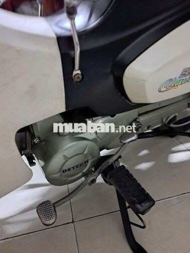 Espero Cub Classic VVIP1 50cc Đen, Trắng