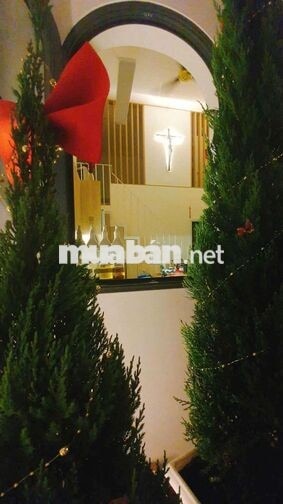 Cho thuê mặt tiền đường Thống Nhất Gò Vấp