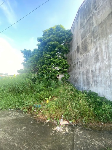 BÁN ĐẤT MẶT TIỀN ĐƯỜNG ĐẠI LỘ ĐÔNG TÂY KHU ĐHQG