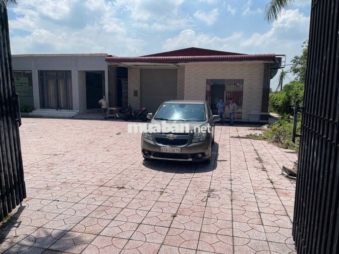BÁN ĐẤT CÓ NHÀ XƯỞNG TẠI CỦ CHI – 2.500 M² CÓ 1.990 M² ĐẤT Ở