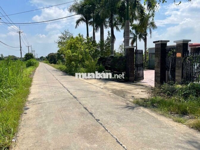 BÁN ĐẤT CÓ NHÀ XƯỞNG TẠI CỦ CHI – 2.500 M² CÓ 1.990 M² ĐẤT Ở