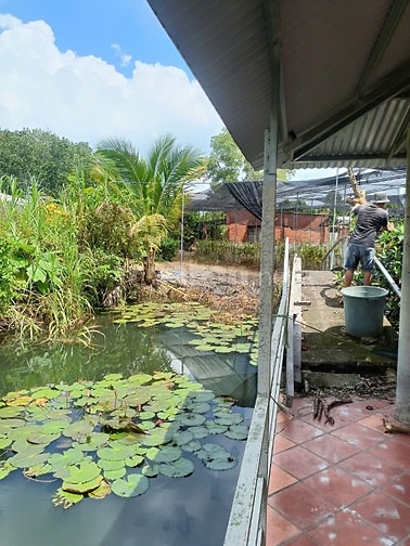 Đất Vườn Lan + Ao Cá Nhà Sàn. KP Lộc Khê P.Gia Lộc. Tây Ninh