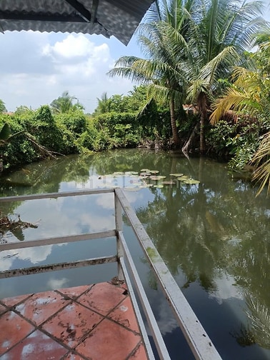 Đất Vườn Lan + Ao Cá Nhà Sàn. KP Lộc Khê P.Gia Lộc. Tây Ninh