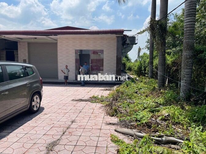 BÁN ĐẤT CÓ NHÀ XƯỞNG TẠI CỦ CHI – 2.500 M² CÓ 1.990 M² ĐẤT Ở