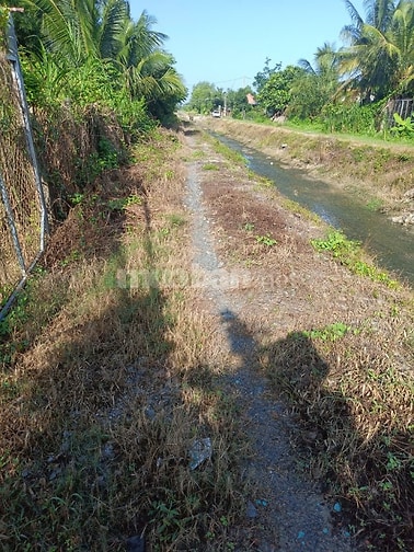 Đất Vườn Lan + Ao Cá Nhà Sàn. KP Lộc Khê P.Gia Lộc. Tây Ninh