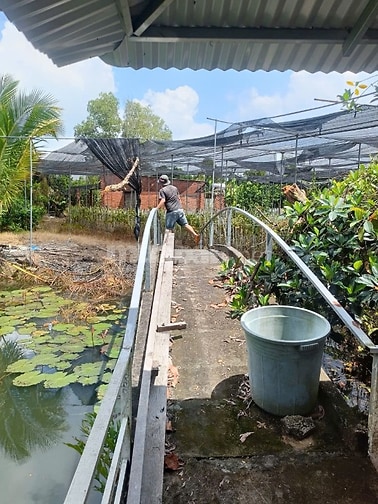 Đất Vườn Lan + Ao Cá Nhà Sàn. KP Lộc Khê P.Gia Lộc. Tây Ninh