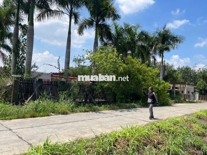 BÁN ĐẤT CÓ NHÀ XƯỞNG TẠI CỦ CHI – 2.500 M² CÓ 1.990 M² ĐẤT Ở
