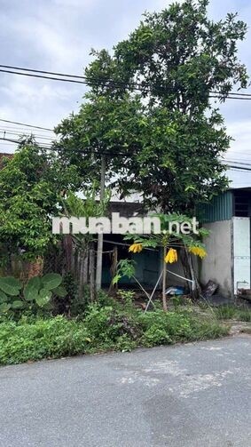 BÁN GẤP CĂN NHÀ CẤP 4 CŨ GIÁ CHỈ 620 TRIỆU TẠI XÃ TÂN THÔNG HỘI