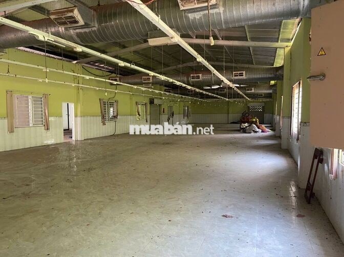BÁN ĐẤT CÓ NHÀ XƯỞNG TẠI CỦ CHI – 2.500 M² CÓ 1.990 M² ĐẤT Ở