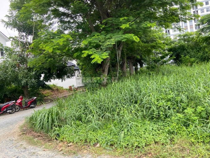 Bán nền BT  KDC 13E Làng Việt Kiều, xã Bình Hưng, Hồ Chí Minh
