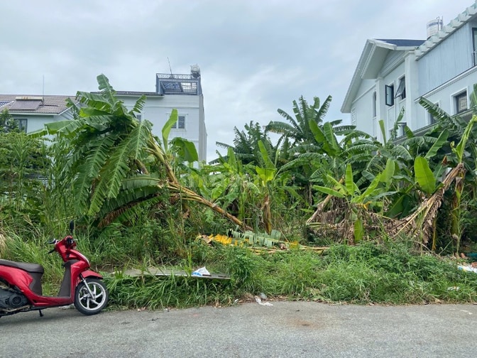 Bán nền BT  KDC 13E Làng Việt Kiều, xã Bình Hưng, Hồ Chí Minh