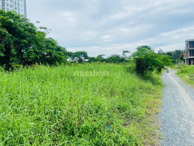 Bán nền BT  KDC 13E Làng Việt Kiều, xã Bình Hưng, Hồ Chí Minh
