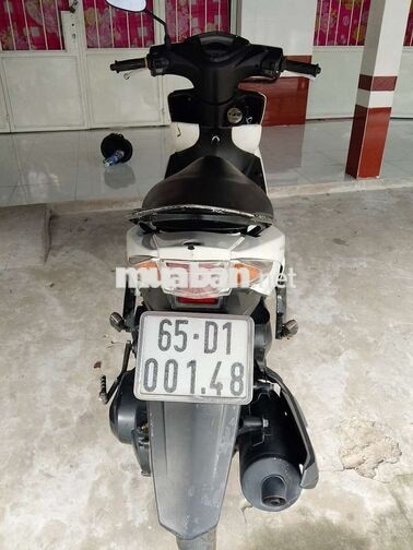 Yamaha Luvias Trắng