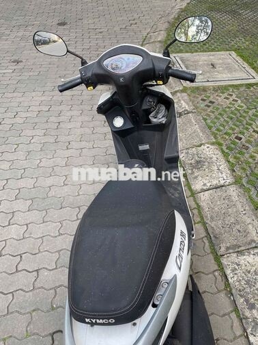 Kymco Candy Hi 50cc Trắng