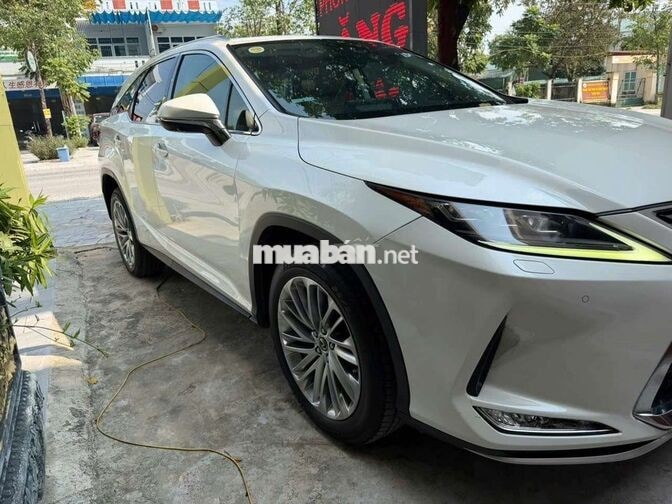 RX 350L 7 chỗ