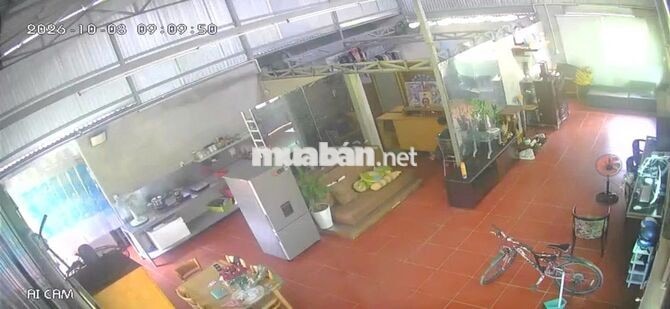 Trang trại nghỉ dưỡng kết hợp cafe sân vườn, mô hình VAC khép kín.