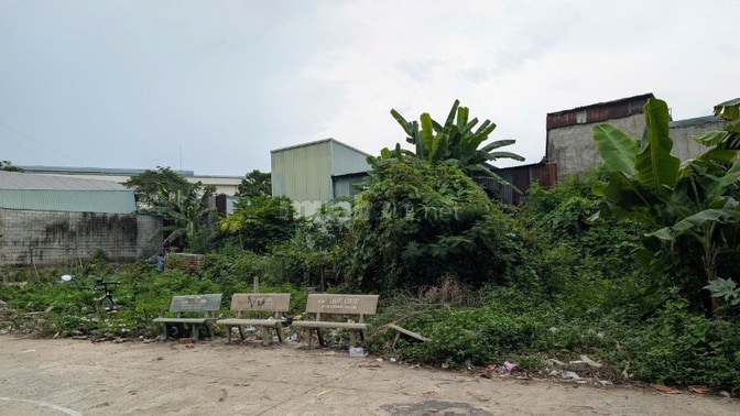 Bán đất diện tích lớn tại phường Tân Tạo 