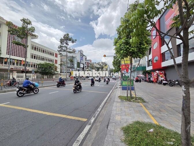  ⛩5mx12m⛩Mặt tiền Nguyễn Thái Học, Q1❌Tuyến đường thương hiệu sầm uất