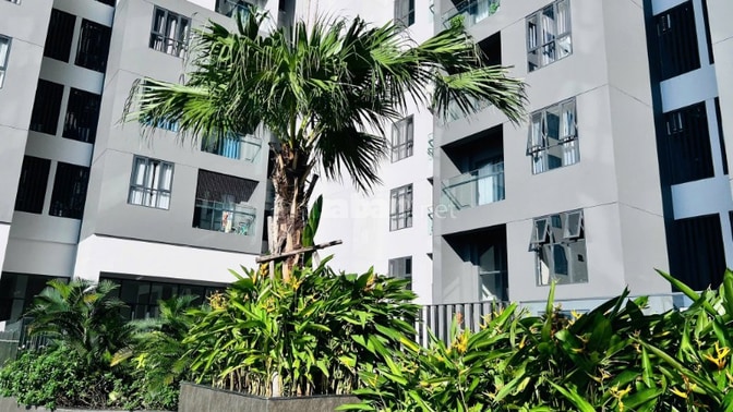 Chính chủ bán cắt lỗ căn hộ chung cư Lô góc, giá 2.55 tỷ