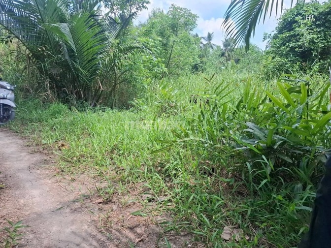 Đất bán đường 1.5m qui hoạch mở 3m . Lộ thông.. đất bom cát cao đẹp 