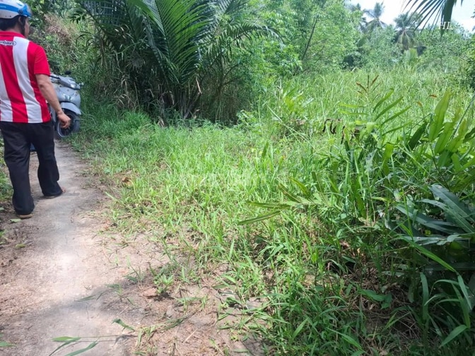 Đất bán đường 1.5m qui hoạch mở 3m . Lộ thông.. đất bom cát cao đẹp 