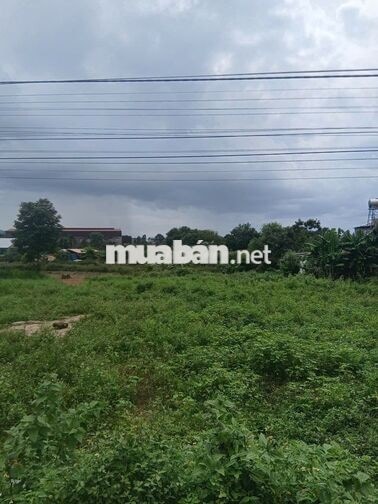 CHÍNH CHỦ BÁN 982M² ĐẤT TẠI TÂM THẮNG – SỔ HỒNG RIÊNG, 400M² ĐẤT Ở!