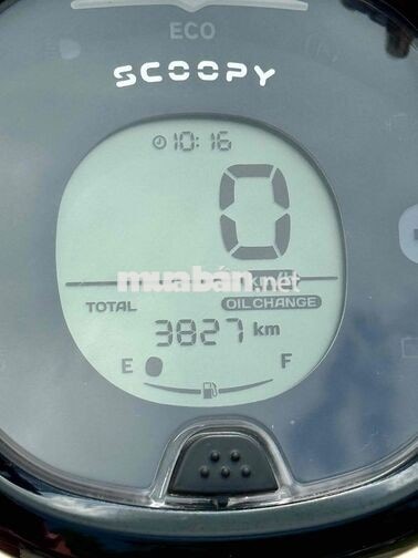 Scoopy 2026 Vàng 3800km biển 43 Như xe mới