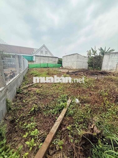 Bán đất Tân Hương (Tân Lược cũ) 356m² – 900 triệu