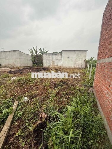 Bán đất Tân Hương (Tân Lược cũ) 356m² – 900 triệu