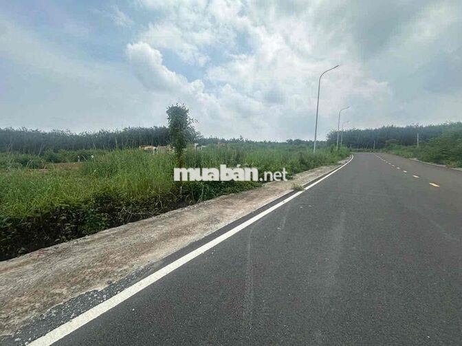 Em có miếng đất Long Hòa Tphcm cần bán