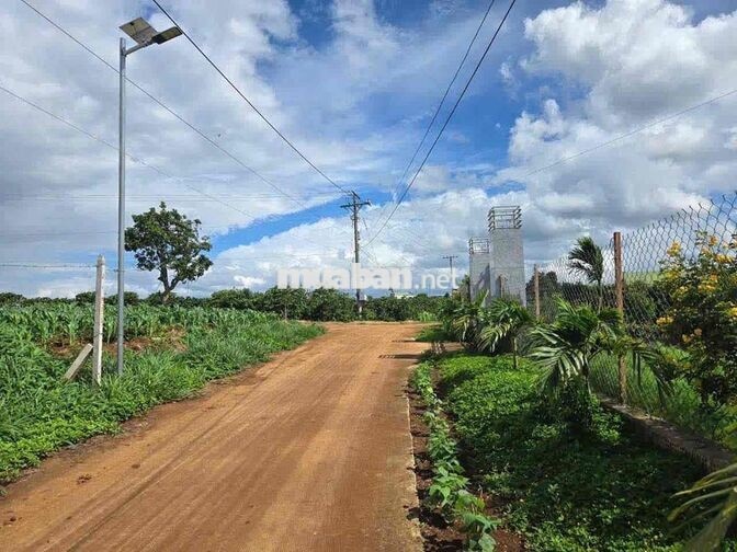 ĐẤT NGHĨ DƯỠNG VIEW 360 ĐỘ VEN ĐÀ LẠT