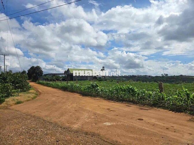 ĐẤT NGHĨ DƯỠNG VIEW 360 ĐỘ VEN ĐÀ LẠT