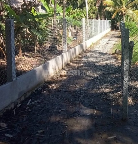 Đất nền đẹp  Sổ sẵn gần  Chọ Ba Vát trung tâm hành chính  Mỏ Cày Bắc 