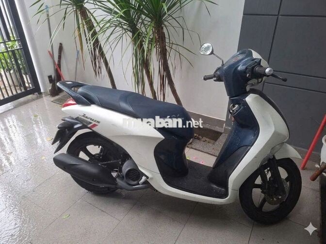 🛵 CẦN BÁN YAMAHA JANUS 2018