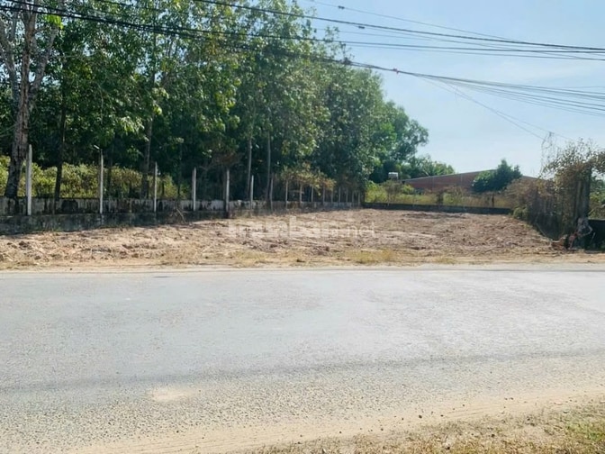 585m2 đất mặt tiền gần chợ Trảng Bàng 550 triệu sổ sẵn công chứng ngay