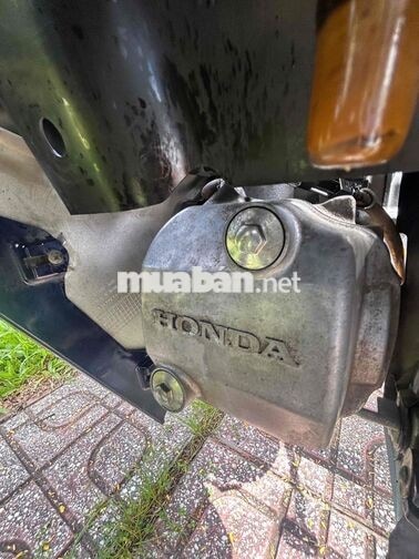 Honda Wave A 110 2019 Xanh