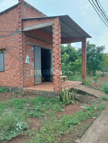 CHÍNH CHỦ CẦN BÁN 16000M2 ĐẤT TRỒNG 250 CÂY SẦU RIÊNG VÀ ĂN QUA KHÁC