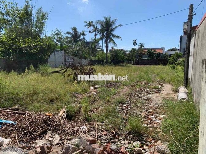 700 m2/ full thổ cư/ An Thọ, An Lão