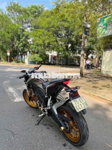 Yamaha TFX 2018 Xám